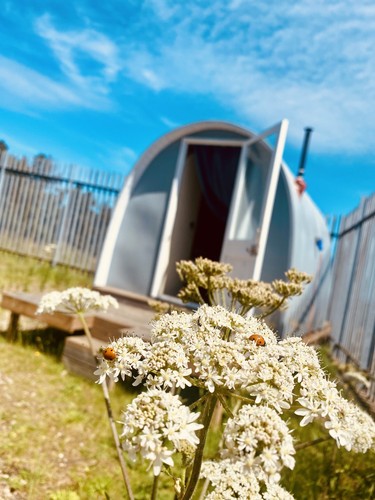 Tiny house cabin garden - |, |